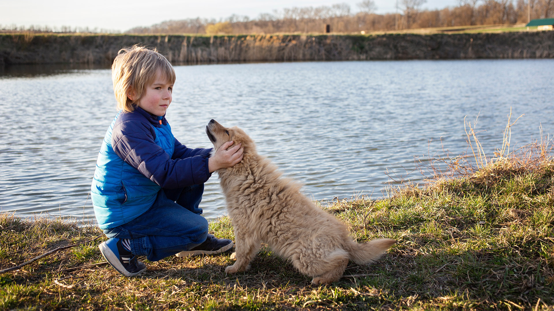 boy-and-his-dog